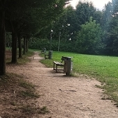 Bild vom Spielplatz anzeigen.