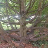 Bild vom Spielplatz anzeigen.