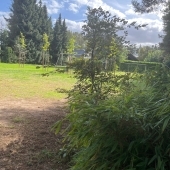 Bild vom Spielplatz anzeigen.