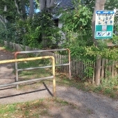Bild vom Spielplatz anzeigen.