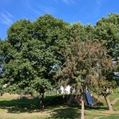 Bild vom Spielplatz anzeigen.