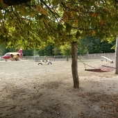 Bild vom Spielplatz anzeigen.