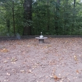 Bild vom Spielplatz anzeigen.