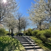 Bild vom Spielplatz anzeigen.