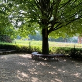 Bild vom Spielplatz anzeigen.