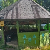 Bild vom Spielplatz anzeigen.