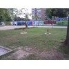 Bild 7 von 7