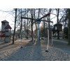 Bild 7 von 16