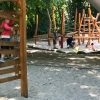 Bild 7 von 12