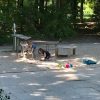 Bild 3 von 12