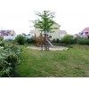 Bild 1 von 5