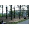 Bild 3 von 8