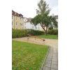 Bild 3 von 8