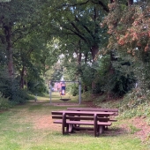 Bild vom Spielplatz anzeigen.
