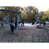 Bild 4 von 9