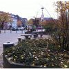 Bild 2 von 2