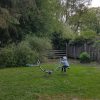 Bild 4 von 4
