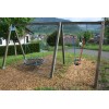 Bild 7 von 7