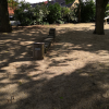 Bild 5 von 5
