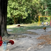 Bild vom Spielplatz anzeigen.