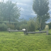 Bild vom Spielplatz anzeigen.