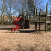 Bild 5 von 7