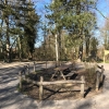 Bild 7 von 7