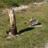 Bild 3 von 6