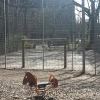 Bild 14 von 15
