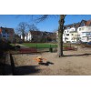 Bild 2 von 7