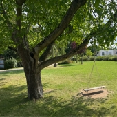 Bild vom Spielplatz anzeigen.