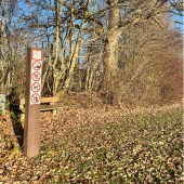 Bild vom Spielplatz anzeigen.