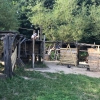 Bild 4 von 12