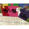 Bild 7 von 8