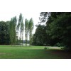Bild 11 von 15