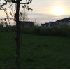 Bild 4 von 5