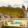 Bild 12 von 17