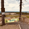 Bild 4 von 17