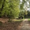 Bild 3 von 4