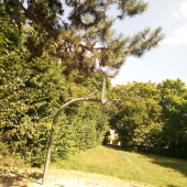 Bild vom Spielplatz anzeigen.