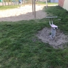 Bild 6 von 8