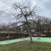 Bild vom Spielplatz anzeigen.