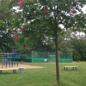 Bild vom Spielplatz anzeigen.