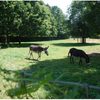 Bild 13 von 18
