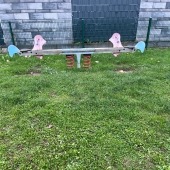 Bild vom Spielplatz anzeigen.