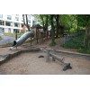 Bild 3 von 9
