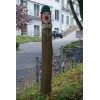 Bild 6 von 9