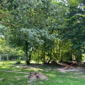 Bild vom Spielplatz anzeigen.