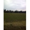 Bild 6 von 6