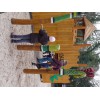 Bild 2 von 9